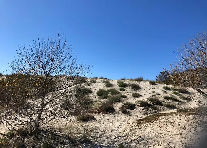 Apartment Westende - Ariane 001 Middelkerke