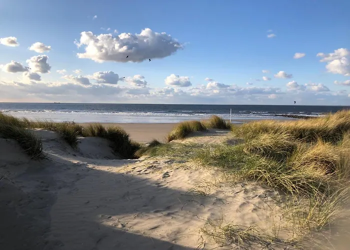 Apartment Westende - Ariane 001